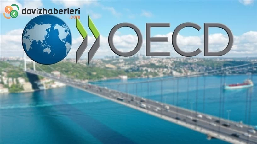 OECD, Türkiye'nin 2024 yılı TÜFE beklentisini artırdı